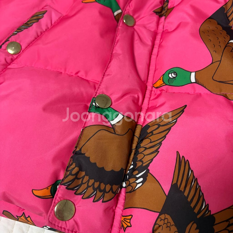 미니로디니 청둥오리 패딩 116-122--3