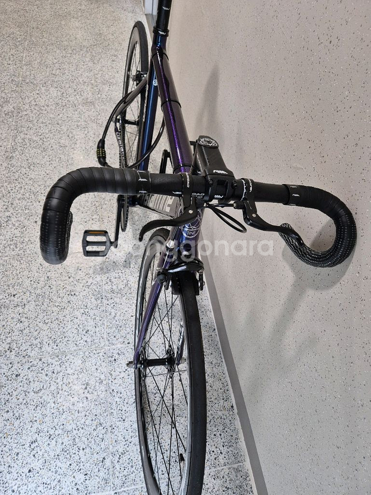 콘스탄틴 버나드 24년식 카멜레온 블루 / 픽시자전거--1