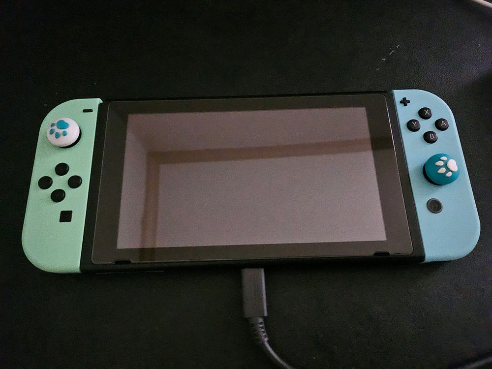 닌텐도스위치 동물의숲 에디션 풀박스 이미지