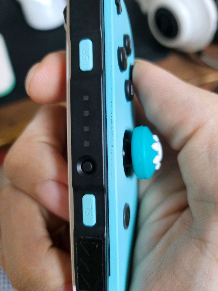 닌텐도스위치 동물의숲 에디션 풀박스 이미지