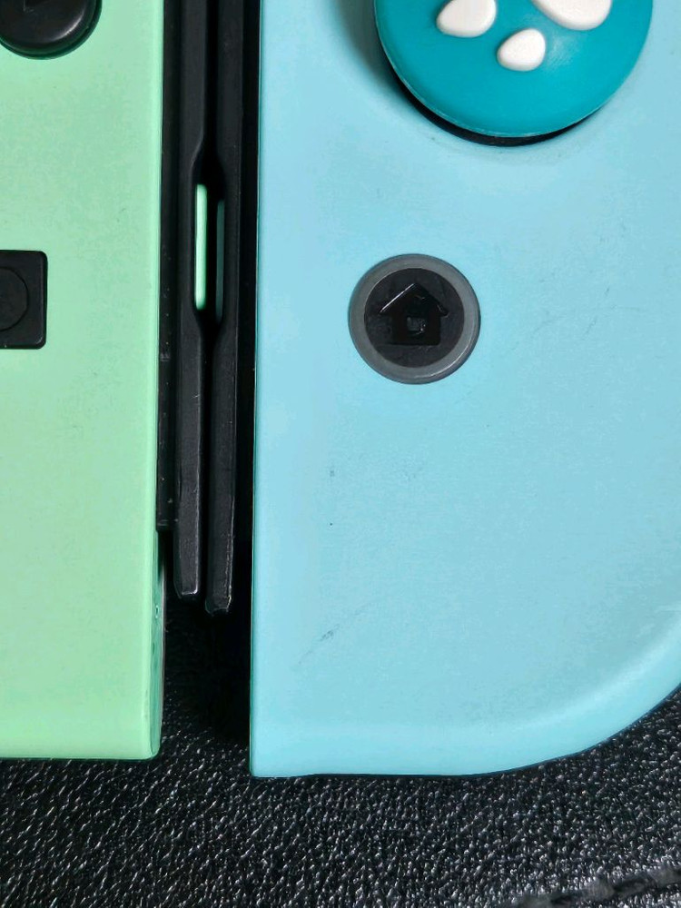 닌텐도스위치 동물의숲 에디션 풀박스 이미지