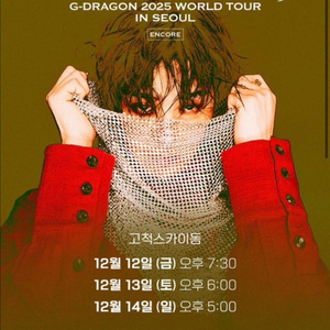 지드래곤콘서트 vip 2연석 이미지