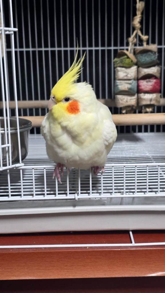 프로필 이미지