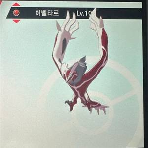 이로치 제르네아스 이벨타르 지가르데 포켓몬스터 소드실드