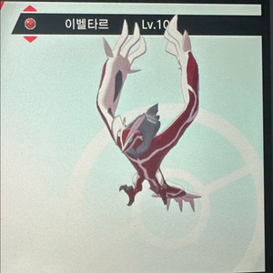 이로치 제르네아스 이벨타르 지가르데 포켓몬스터 소드실드