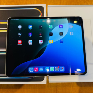 아이패드 프로13 M4 셀룰러+와이파이 (자급제)