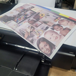 엡손L805승화전사 880장 사용