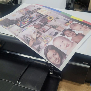 엡손L805승화전사 880장 사용