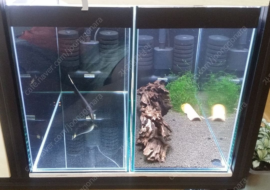 2자반 수제작 축양장/받침대/거치대 (어항 포함) / 경기 광명--6