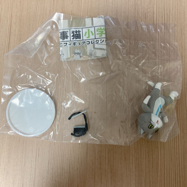 일하는 고양이 가챠 초등학교(뒤, 공부, 선생님)--3