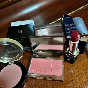 루나솔 한정 단종 치크 블러셔 헤라 로지스웨이드 디올 립스틱 2an브러쉬 새제품 가을웜세트