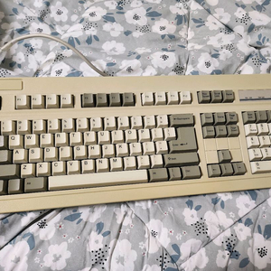DTK MBK-1013 skcm 알프스 백축 빈티지 키보드