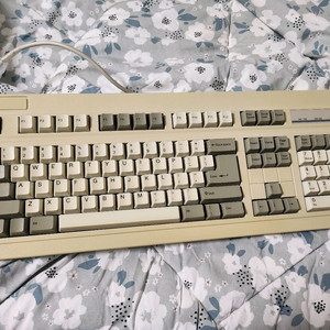 DTK MBK-1013 skcm 알프스 백축 빈티지 키보드