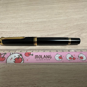 펠리칸 M800 만년필 블랙 F닙