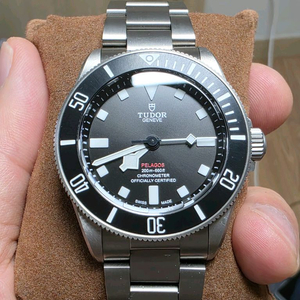 튜더 팰라고스39 오토매틱 티타늄