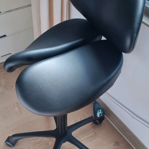 승마의자 새들체어