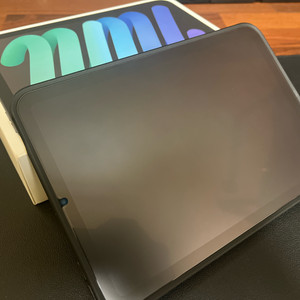 아이패드 미니 7세대 셀룰러 256기가 스그