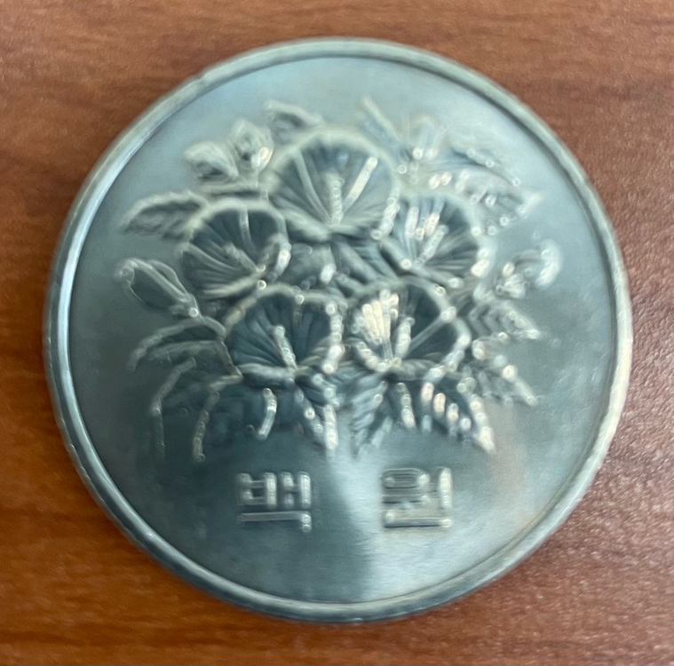 1981년 제 5공화국 100원 은화 5개 이미지