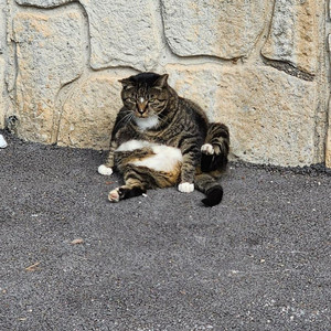 구글플레이포인트 5000포 2개 10에 삽니다 이미지