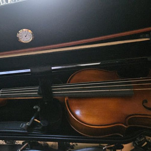 바이올린+하드케이스