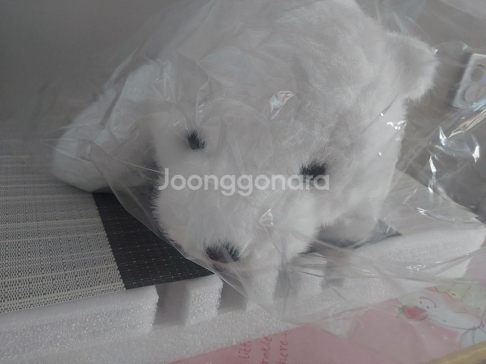 짱정품)허그 베어 봉제인형중형 미개봉참고 (사진찍기위해--1