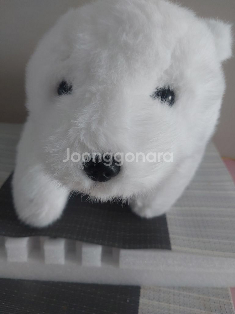 짱정품)허그 베어 봉제인형중형 미개봉참고 (사진찍기위해--7