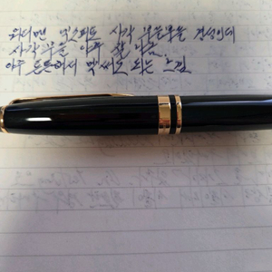 워터맨 엑스퍼트 f