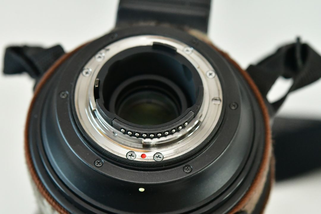 니콘 Af-s 500mm F4 , 시그마 150-600mm S f5.6(니콘용)--2