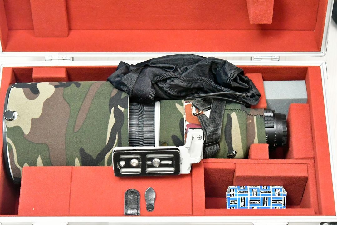 니콘 Af-s 500mm F4 , 시그마 150-600mm S f5.6(니콘용)--6