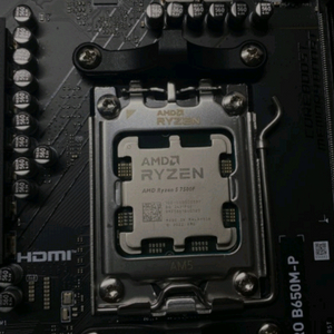 Amd 라이젠5 7500F 라파엘