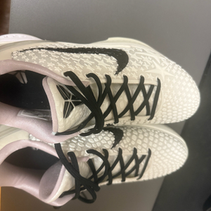 코비6 300 새상품