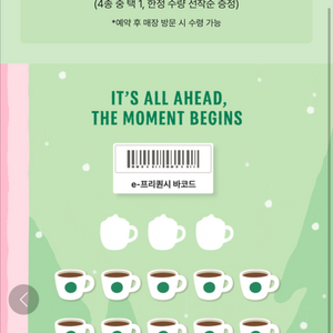 스타벅스 프리퀀시 일반 10개