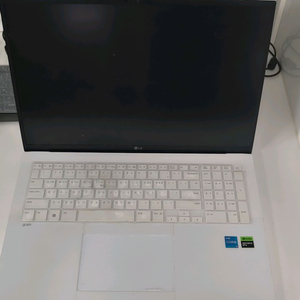 lg그램 17인치 4테라 판매(rtx2050)