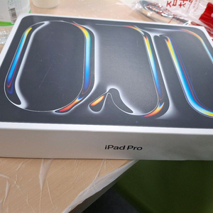 아이패드 프로 11인치 M5 셀룰러 256GB