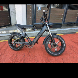 이지라이 올터레인 MAX 1000W 전기 자토바이입니다 이미지