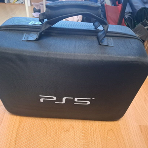 ps5 하드케이스 플스5