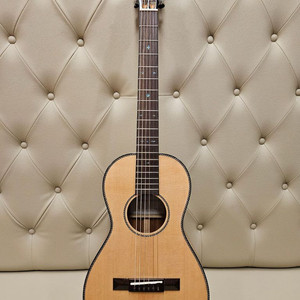 정성효 카르멘 기타 CPM-100