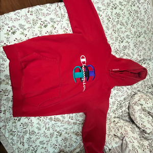 슈프림 챔피온 후드티 L사이즈 이미지