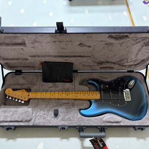 펜더 아메리칸 프로페셔널2 스트라토캐스터 다크나이트 기타