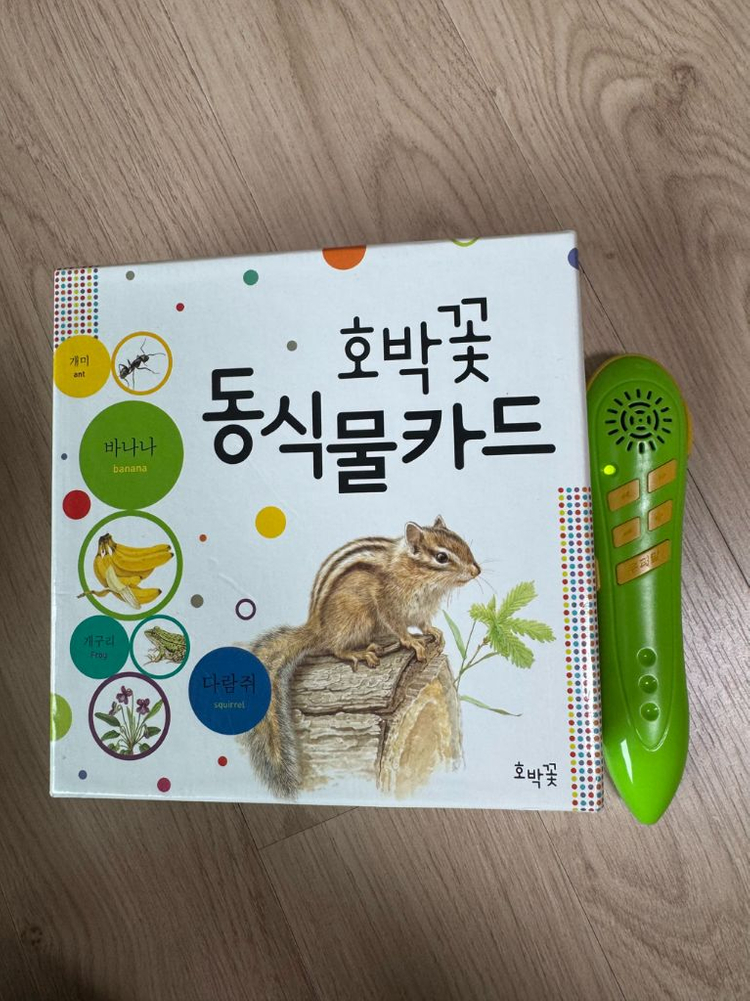 웅진 호박꽃자연관찰 스마티펜포함--2