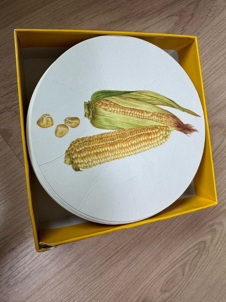 웅진 호박꽃자연관찰 스마티펜포함--3