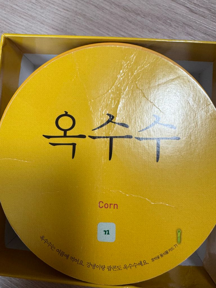 웅진 호박꽃자연관찰 스마티펜포함--4