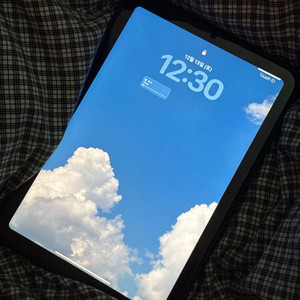 아이패드 미니 6 256 셀룰러