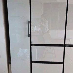 비스포크 김치냉장고 / 냉동고