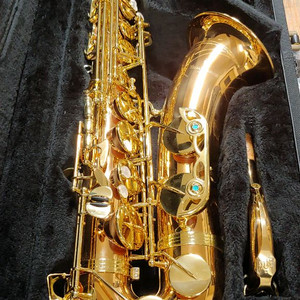 야나기사와 W02 테너 색소폰 이미지