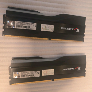 지스킬 DDR5 6000 36CL 32g(16x2) 메모리