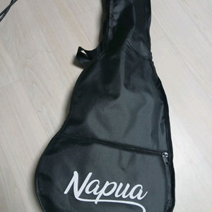 나푸아 기타 NGL21