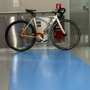 엔진11 2021년식 오렌지 컬러 판/대