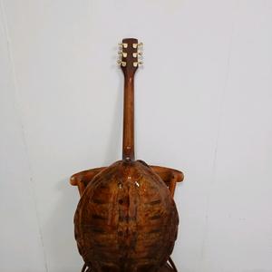 거북이 십장생 기타 특별할인