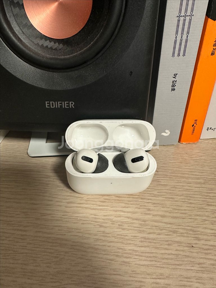 에어팟 프로 1세대--0